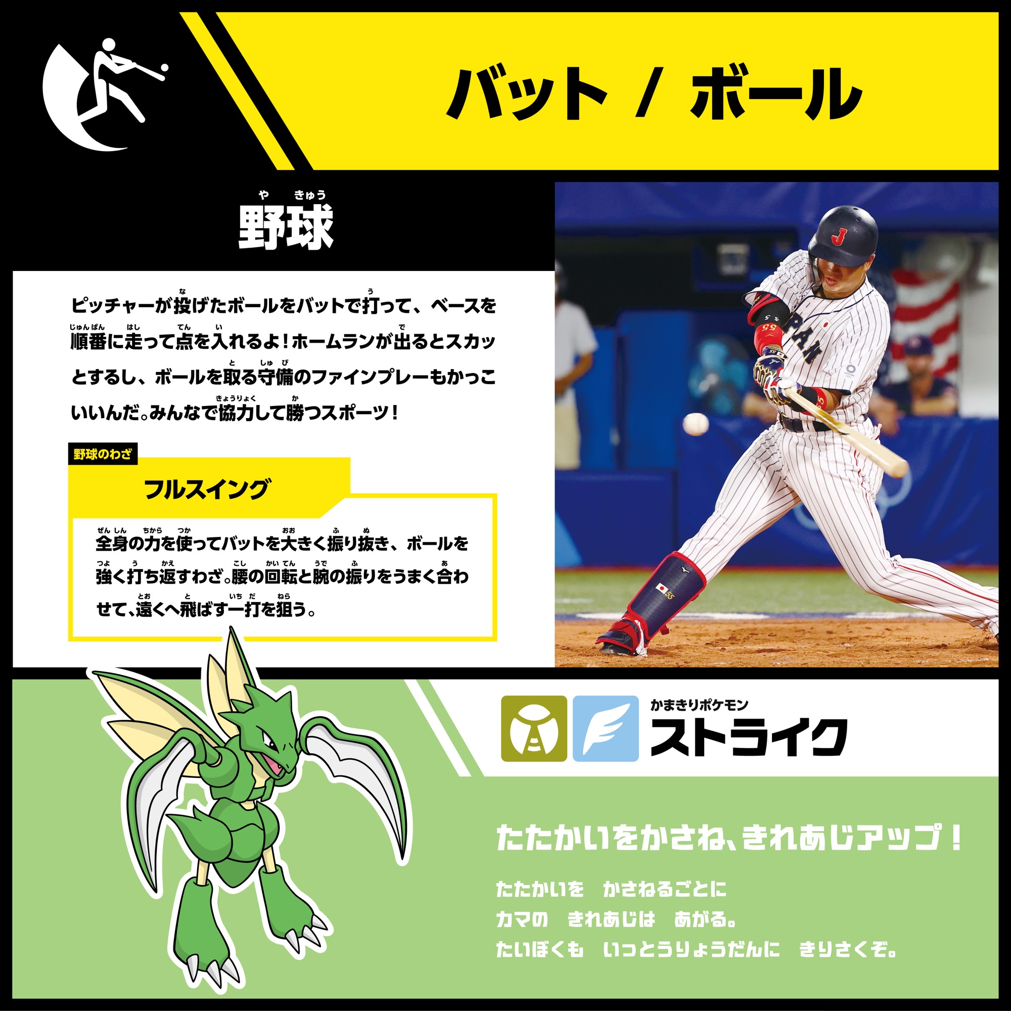 野球のバットとボールを紹介する展示